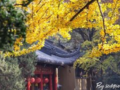 -灵谷景区