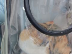 -总动员动物医院(宝丰院店)