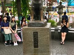 -涩谷区