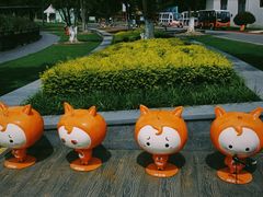 -上海长兴岛郊野公园