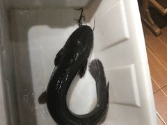 -小牛海记潮汕牛肉店(永定路店)