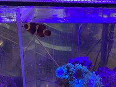 -宠物世家(仲盛世界商城店)
