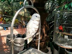 -西霞口神雕山野生动物世界