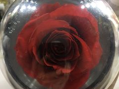 -ROSEONLY诺誓(国际广场购物中心店)