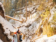 -峡谷浮石林景区
