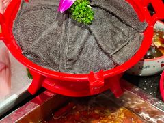 -红鼎坊·老成都火锅(新南门店)