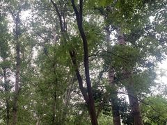 -廊坊市自然公园