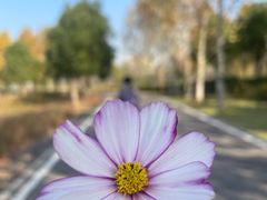 -洋湖国家湿地公园