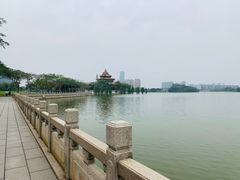 -顺峰山公园