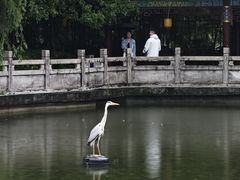 -MAP CHA普洱茶馆(翠湖店)