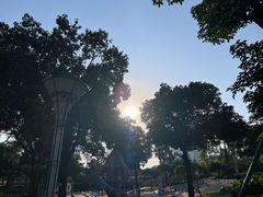 -文华公园(禅城区)