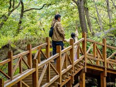 -大岭沟猕猴桃谷风景区