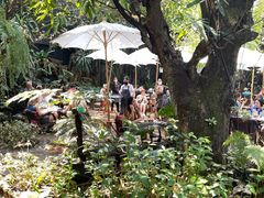 -Fern Forest Cafe
