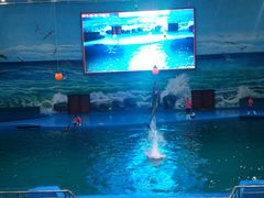 -多彩贵州城极地海洋世界