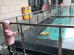 -陕西自然博物馆