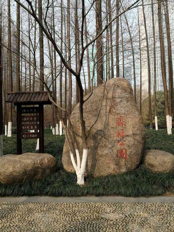 钱江新城森林公园-"钱江新城森林公园在地铁口的边上位置还是比.