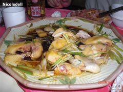 隆都白切鸡-隆都四季香饭店(碧海路店)