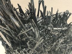 -安徽省地质博物馆