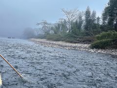 -九曲溪竹筏码头