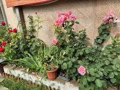 -范长伟灸草堂(甘家口店)