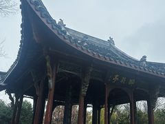 -徽园