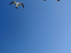 -刘公岛景区