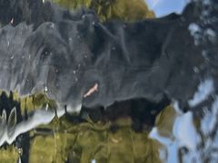 -上海科技馆(地铁站)