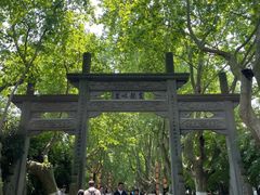 -杭州黄龙洞