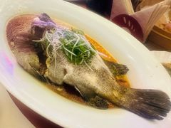 -顺峰(农展馆店)