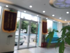 -德元·美联众合24小时动物医院(总院)