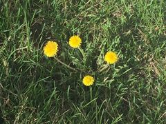 -北京国家会计学院