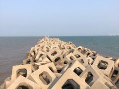 -东疆建设开发纪念公园