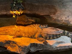 -泉城欧乐堡海洋极地世界