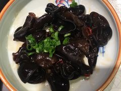 贡品木耳-和府捞面(东直门银座店)