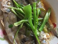 -南汇老顾农家乐采摘大团水蜜桃采摘店