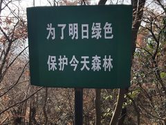 -紫金山山顶公园