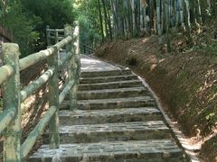 -苏家围·东江画廊旅游景区