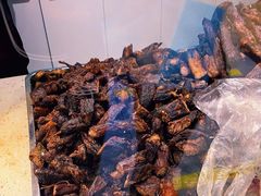 -都士牧人现烤牛肉干