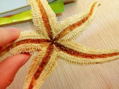 -天后宫民俗文化街