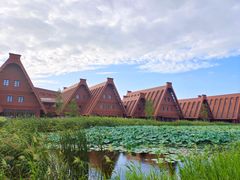 -广富林郊野公园