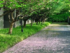 -浙江农林大学(东湖校区)