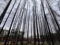 -东坡赤壁风景名胜区