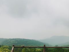 -阳台山自然风景区