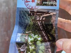 -大岭沟猕猴桃谷风景区