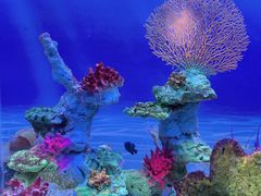 -秦皇岛新澳海底世界