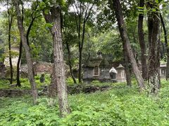 -北京上方山国家森林公园