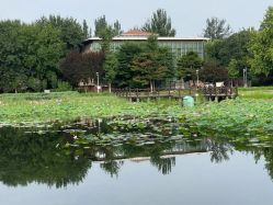 -北京新世纪妇幼医院·产检·分娩·计生(望京院区)