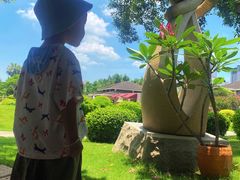 -惠和石文化园