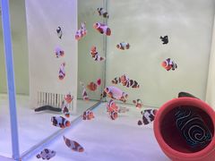 -金三角花鸟鱼综合市场-地面停车场