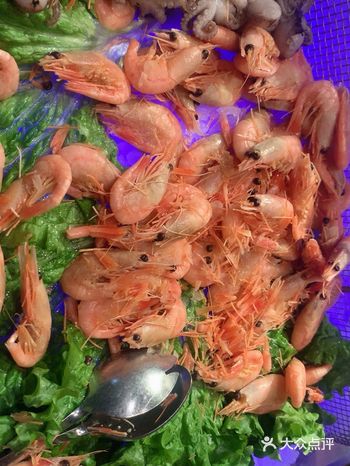 环境真的很好，自助餐种类很多，很丰盛